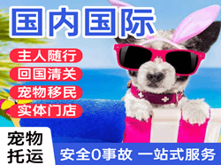 遥墙航空空运国际宠物托运 【国